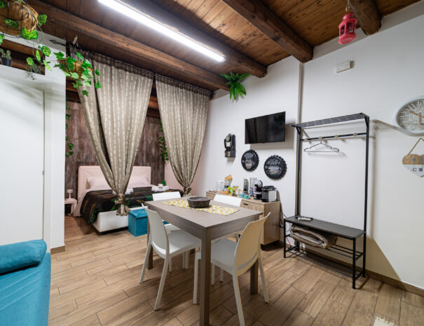 stanza con tavolo, tv e letto matrimoniale e divano